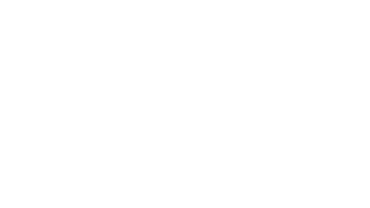 Gecko Aqua-Flo Flo-Master XP2