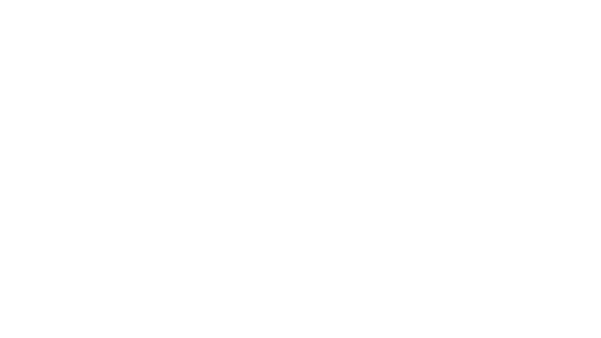 Gecko Flo-Master XP2e PUMP